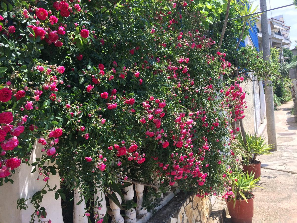 Hotel Gjika Sarandë 外观 照片